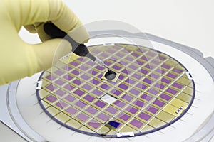 Silicon wafer with microchips, fixed in a holder with a steel frame on a gray background after the process of dicing. Microchip photo