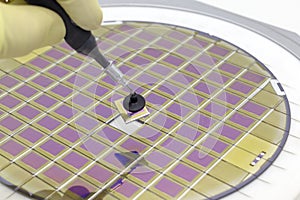Silicon wafer with microchips, fixed in a holder with a steel frame on a gray background after the process of dicing. Microchip photo
