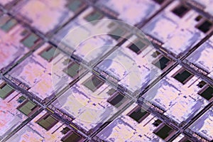 Silicon wafer with microchips used in electronics for the fabrication of integrated circuits. Full-frame high-tech macro