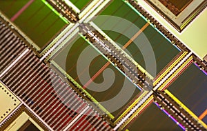 Silicon wafer with microchips used in electronics for integrated circuits