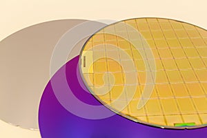 Silicon Wafers three types -empty grey wafer,purple wafer with SiO film and gold wafes with microchips