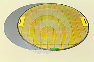 Silicon Wafers two types -empty grey wafer and gold wafes with microchips
