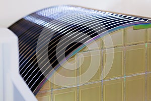 Silicon Wafers in white plastic holder box on a table- A wafer is a thin slice of semiconductor material, such as a crystalline photo