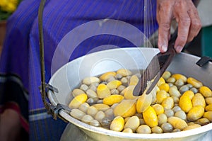 Silk cloth production