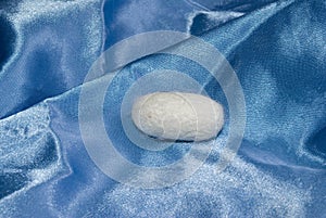 Silk cocoon on blue silk