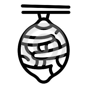 Silk cocoon icon outline vector. Insect cocooning stage photo