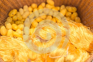 Silk cocoons and raw silk threads