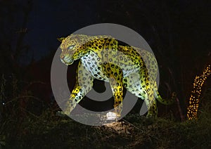 Silk covered cheeta animal lantern at night at the Dallas Zoo in Texas.