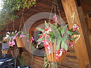 Silk flower in wooden handmade vase photo