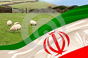 Silk national flag of the state of Iran flutters soft folds in the wind, in the background white sheep graze in the meadow and the