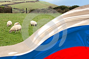 Silk national flag of the state of Russia flutters soft folds in the wind, in the background white sheep graze in the meadow and