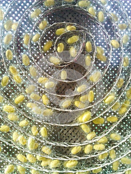 Silk nest in circle basket