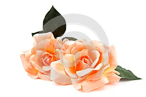 Silk orange roses