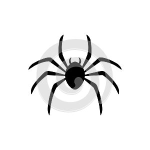 Silk-spinning arthropod icon