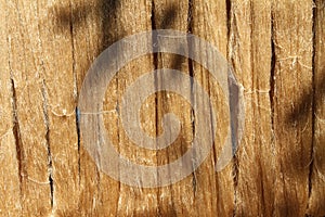 Silk thread during dry out.