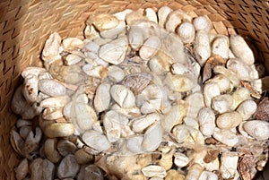 Silk worm cocoons