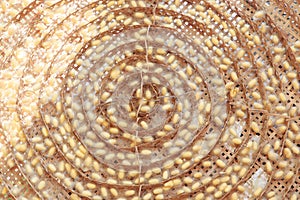 Silk worm cocoons