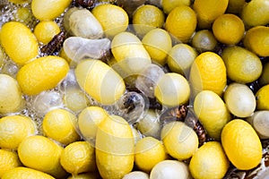 Silk worms being prepared for next stage of the traditional silk process