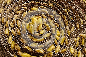 Silk worms nest in bamboo basket