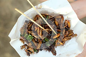 Silkworm beetle grasshopper mixture roasted with onion