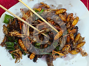 Silkworm beetle grasshopper mixture roasted with onion
