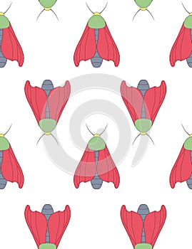 Silkworm Bombyx simple seamless pattern