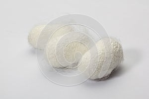 Silkworm cocoon photo