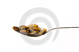 Silkworm fried with soy sauce on a spoon.