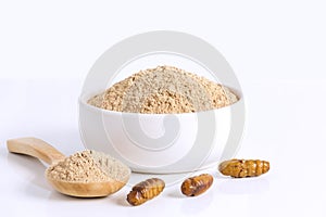 Silkworm Pupae Bombyx Mori Flour powder insects for eating as food items made of cooked insect meat in bowl and spoon on white