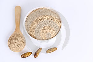 Silkworm Pupae Bombyx Mori powder. Insects flour for eating as food items made of cooked insect meat in bowl and spoon on white photo