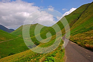 Silky Grassland in Lake District