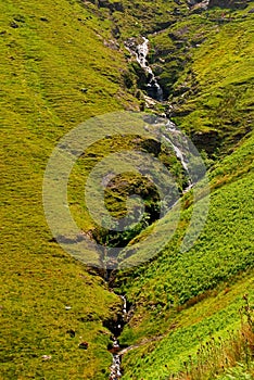 Silky Grassland with Small Stream