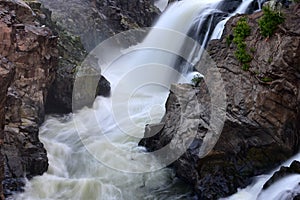 Silky Niagara of India