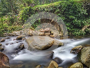 Silky smooth water river bank in jungle forest.