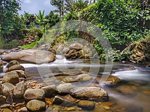 Silky smooth water river bank in jungle forest.