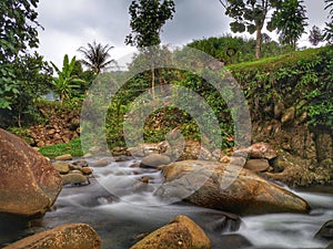 Silky smooth water river bank in jungle forest.