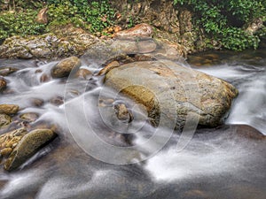Silky smooth water river bank in jungle forest.