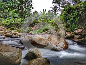 Silky smooth water river bank in jungle forest.