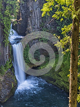 Silky Toketee Falls Framed by Tree