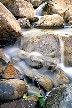 Sedoso Agua abajo bahía 