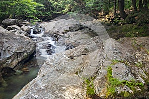 Silky water flowing over rocks in warmly lit forest