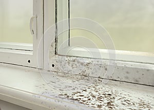 Sill and window affected with mold in room