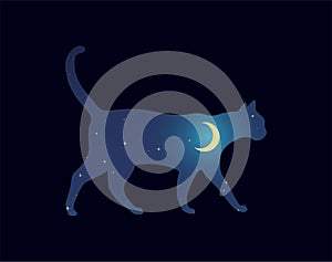 Sillouette cat walking at night. Starry Sky Moon. Vector Illustration