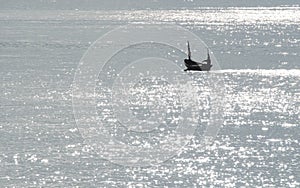 Sillouette of small boat photo