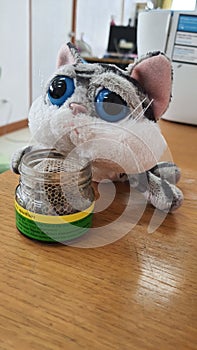 Silly cat. The cat is dizzy.