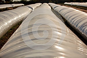 Silo bag in a farm with fence and field. Rural, countryside image, agricultural industry scene.