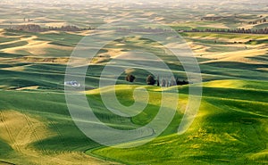 Silo in beautiful landscape of Palouse