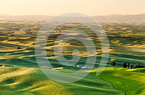 Silo in beautiful rolling crop fields landscape of Palouse during sunrise, Washington state, USA