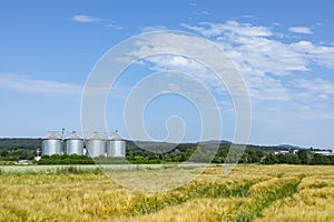 Silo at the field for corn under blue sky