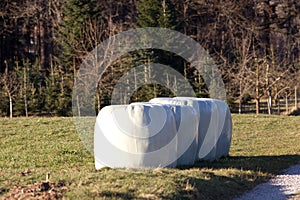 silo silage bales, haylage foiled on field